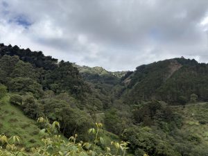 A wide, scenic view of lush, green mountains densely covered in trees under a cloudy sky. Leaves and plants frame the foreground, leading into a deep valley surrounded by forested hills.
