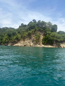 
A rocky coastline with turquoise water, lush green trees, and a partly cloudy sky.