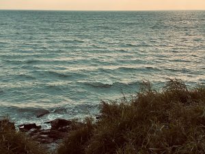 Ocean waves viewed from a grassy, rocky shoreline beneath a warm, hazy sky.