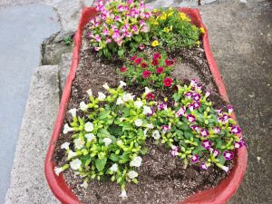
A red planter filled with colorful flowers beside a concrete walkway.