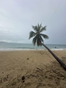 
A serene beach scene features a gently sloping sandy shore leading to calm, turquoise waters