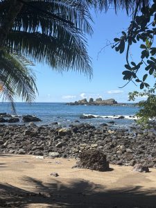 A tranquil beach scene featuring a sandy shore with a few scattered darker rocks. In the foreground, palm trees with broad, green leaves frame the view. The ocean stretches out, calm with gentle waves lapping at the shoreline. 