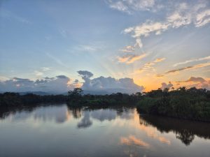 Sunset over a calm river with golden reflections and lush green trees.