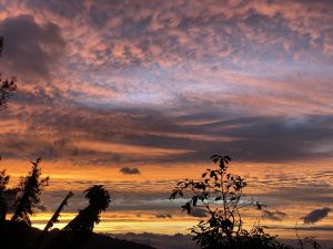 Sun descending on the horizon while the sky is painted red, orange and violet.