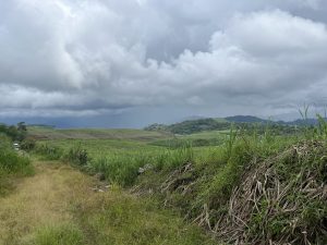 A scenic view of rolling hills covered in lush green grass and vegetation, punctuated by patches of brown earth. 