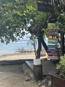 
A coastal setting featuring a wooden platform beneath a leafy canopy. 
