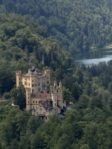 Historic castle surrounded by dense green forest with a lake in the background.
