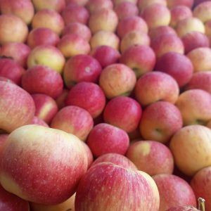 
A close-up image displaying a large number of ripe apples, predominantly red with yellowish undertones