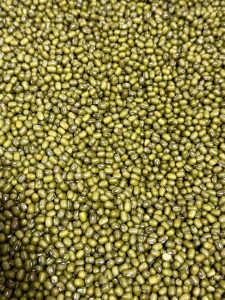 A close-up view of green mung beans spread across the frame. The beans show different shades of green and subtle variations in size and texture, creating a dense natural pattern. Captured in Kuttikkattoor, Kozhikode, Kerala.