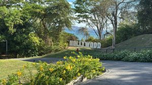 Scenic view of a large Hollywood-style sign surrounded by lush tropical vegetation, colorful flowers, and tall trees, with the blue ocean and distant coastal mountains visible in the background.

