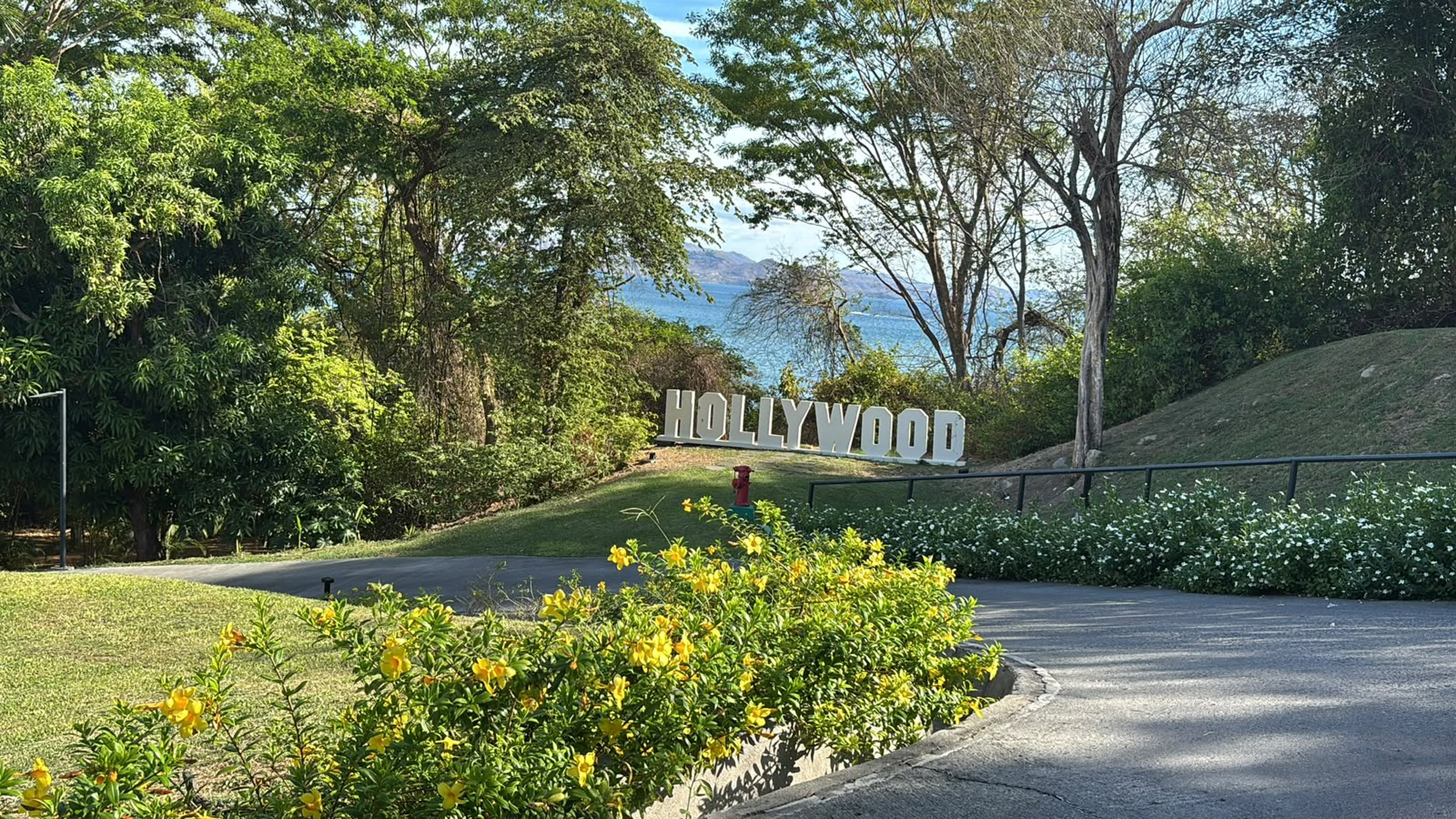 Scenic view of a large Hollywood-style sign surrounded by lush tropical vegetation, colorful flowers, and tall trees, with the blue ocean and distant coastal mountains visible in the background.