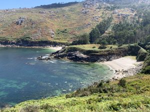 Elevated view of A Barda Beach on the Camiño dos Faros, with clear greenish water, sandy shore, and fern-covered hillsides.