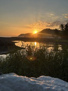 
A beach sunset with calm water, green grass, and a white rock.