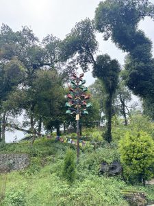 A tall wooden pole holds colorful birdhouses, with prayer flags, green hills, and trees in the background.
