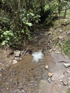 A small shallow stream with clear water flowing over rocks and pebbles through a forest.

