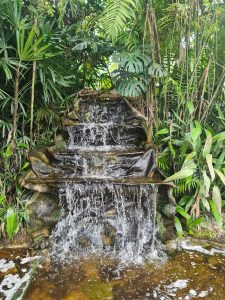 A small tiered waterfall surrounded by lush tropical foliage, where flowing water cascades over moss-covered rocks into a shallow pool, creating a peaceful rainforest atmosphere.