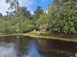 Calm pond surrounded by a green forest, tall trees, and small red-roofed buildings along the shore.