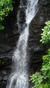 A person rappels down a rocky waterfall surrounded by lush green plants in a tropical setting.