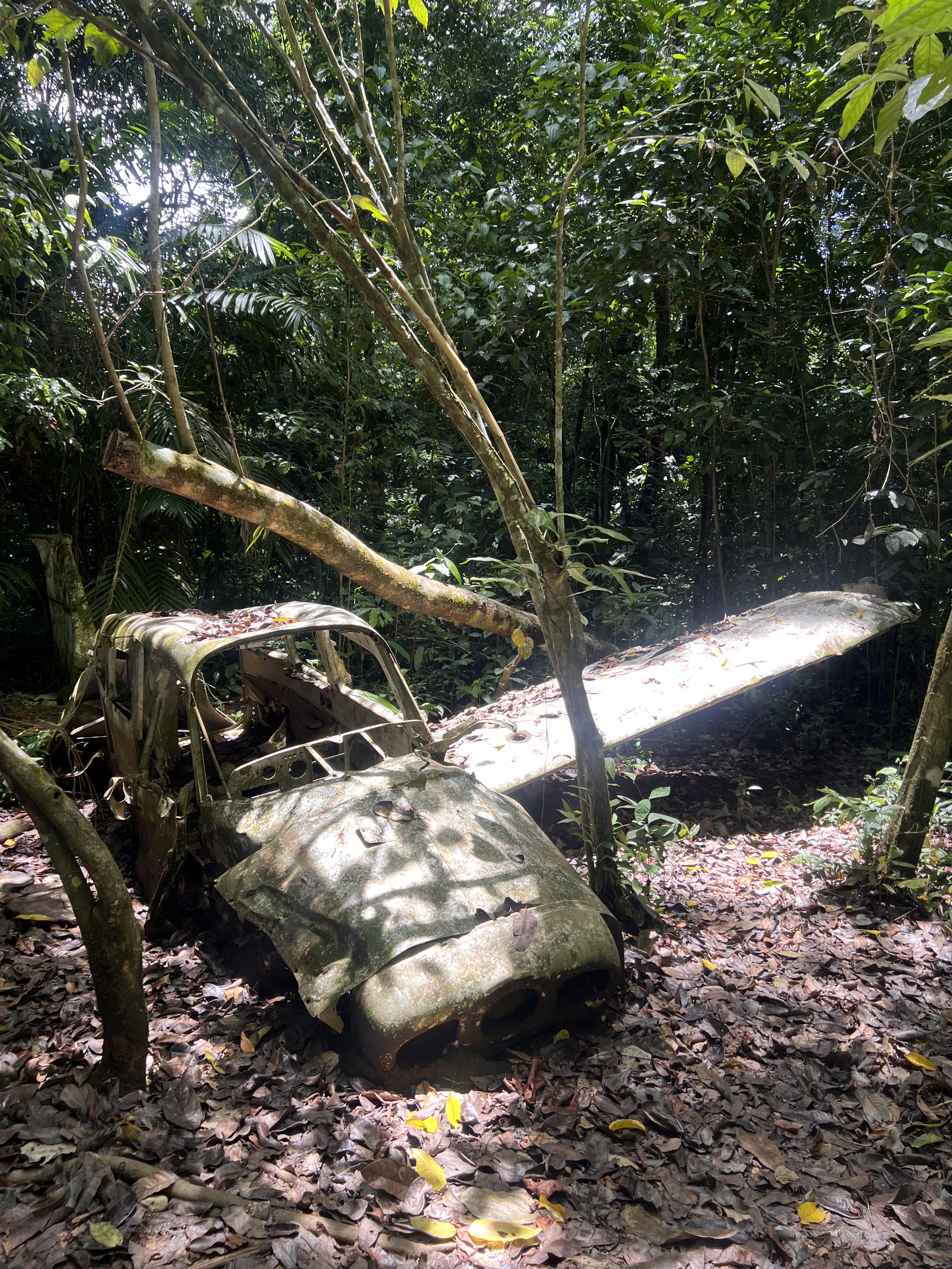 Wreckage of a small plane that crashed decades ago, reclaimed by the jungle in Corcovado National Park, Costa Rica