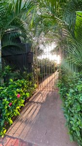 A garden path leading to a golden archway in Tamarindo, Costa Rica.