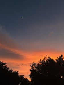 
Sunset view from San Pedro, Costa Rica, with a colorful sky and silhouetted trees.