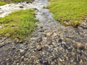 A clear stream flows through green grass and smooth stones at Kariyathumpara, Kozhikode, Kerala. The water creates a strong leading line through the frame, while the warm light brings out the colors of the rocks and grass.
