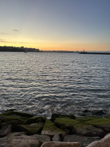 Sunset over the sea with moss-covered rocks along the shore and the coastline in the distance.