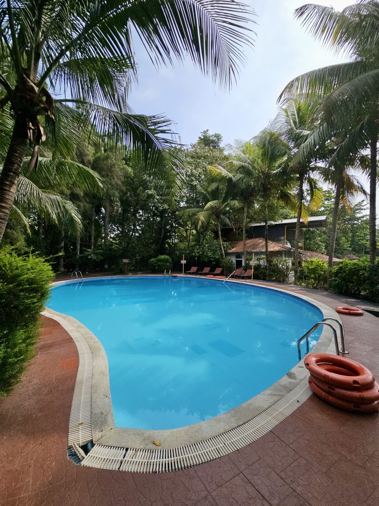 A tropical swimming pool, surrounded by coconut palms and lush greenery, creates a peaceful, resort-like scene. The curved pool and surrounding foliage provide a pleasing composition. Location: Ayamkudy, Kottayam, Kerala.