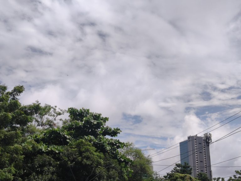 Lush green trees under a partly cloudy sky, with a modern glass building and overhead electrical wires.