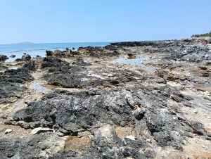 Gray and brown layered humid rocks next to the sea.
