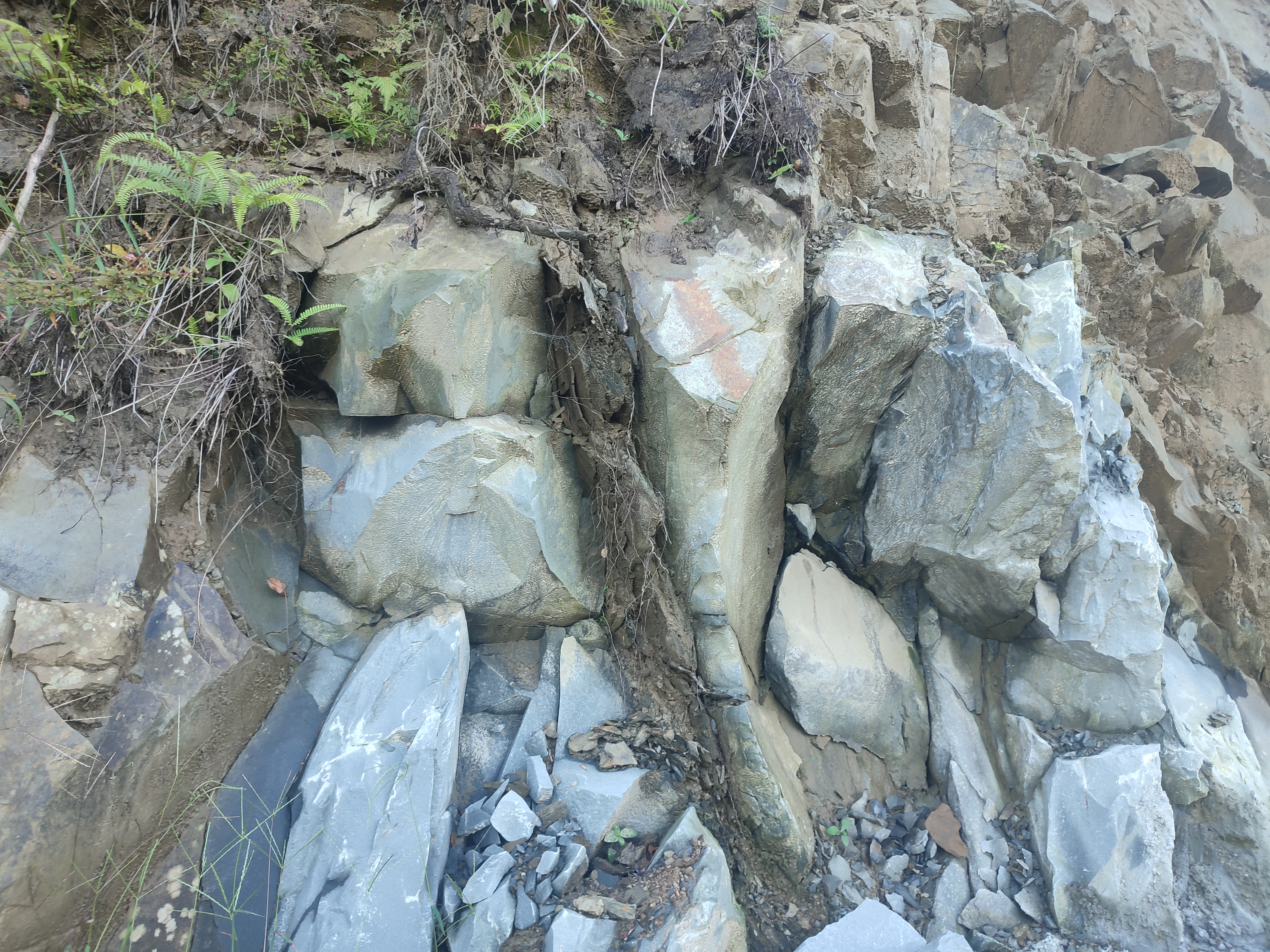 Rugged gray and green rocks with patches of dirt, ferns, and small plants in a natural setting.