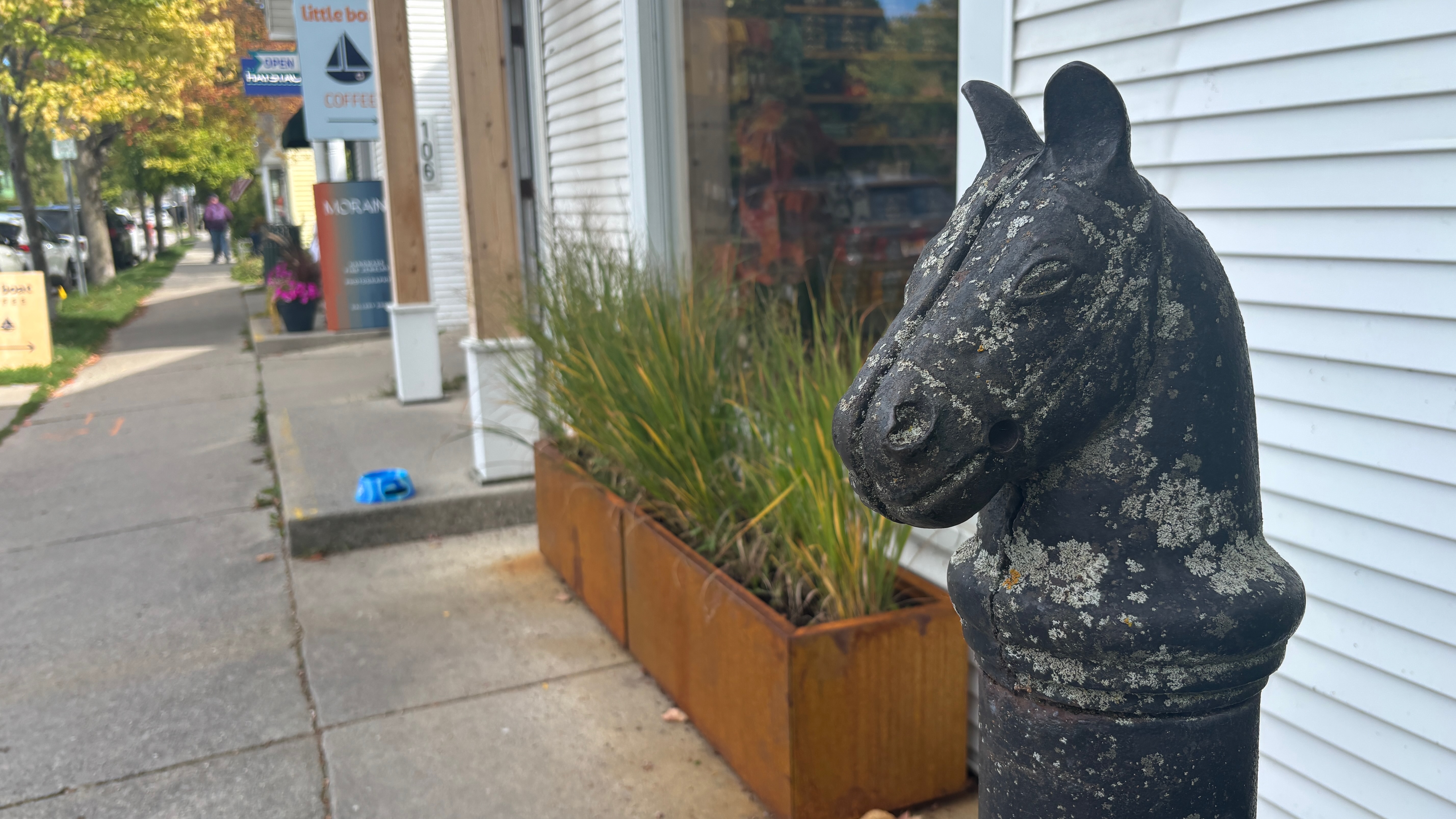 On the right an iron horse's head covered in lichens is on a post. It's like an antique hitching post. On the left is an out of focus sidewalk.