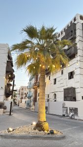 Palm tree illuminated by warm spotlights in a stone planter on a quiet paved street in Al-Balad, Jeddah, with white buildings, wooden roshan balconies, and string lights at dusk.
