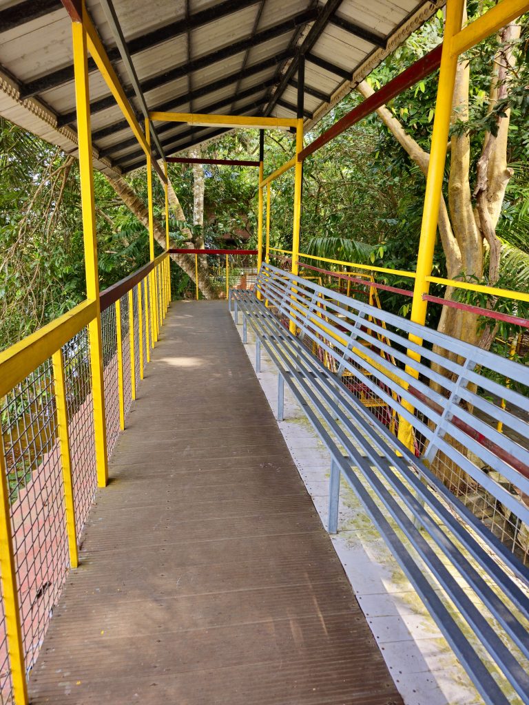A covered pedestrian walkway with colorful yellow and red railings and long benches passes through dense tropical greenery. The strong leading lines create depth and guide the eye through the scene. Location: Ayamkudy, Kottayam,
