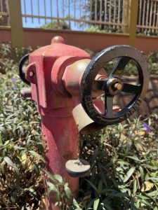 Red fire hydrant with a black wheel valve surrounded by green plants near a fence. #WCJinja
