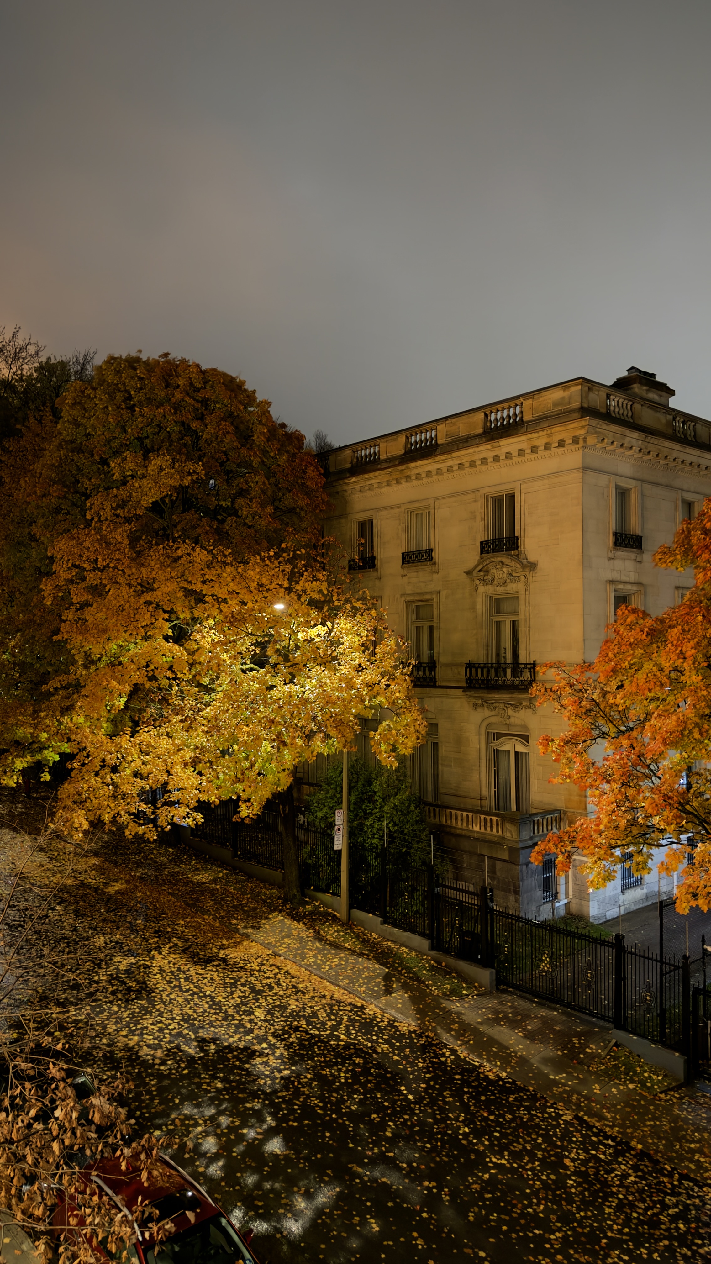 A quiet street at night in autumn, with orange and yellow maple trees glowing under a streetlight, fallen leaves covering the wet road, and a historic stone mansion with iron balconies behind a black iron fence.
