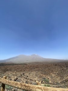 Volcanic landscape with dark lava rocks, a wooden fence, and a distant mountain under a clear blue sky.