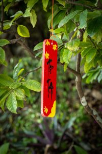 A red good luck charm with Chinese calligraphy and yellow flower decorations hanging from a tree.
