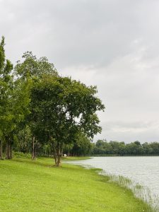 Calm lake surrounded by green grass and tall trees under an overcast sky at Ramsagar, Dinajpur, Bangladesh.
