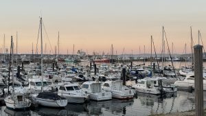 Marina full of sailboats and small yachts moored very close together under a soft pastel-toned sunset sky.
