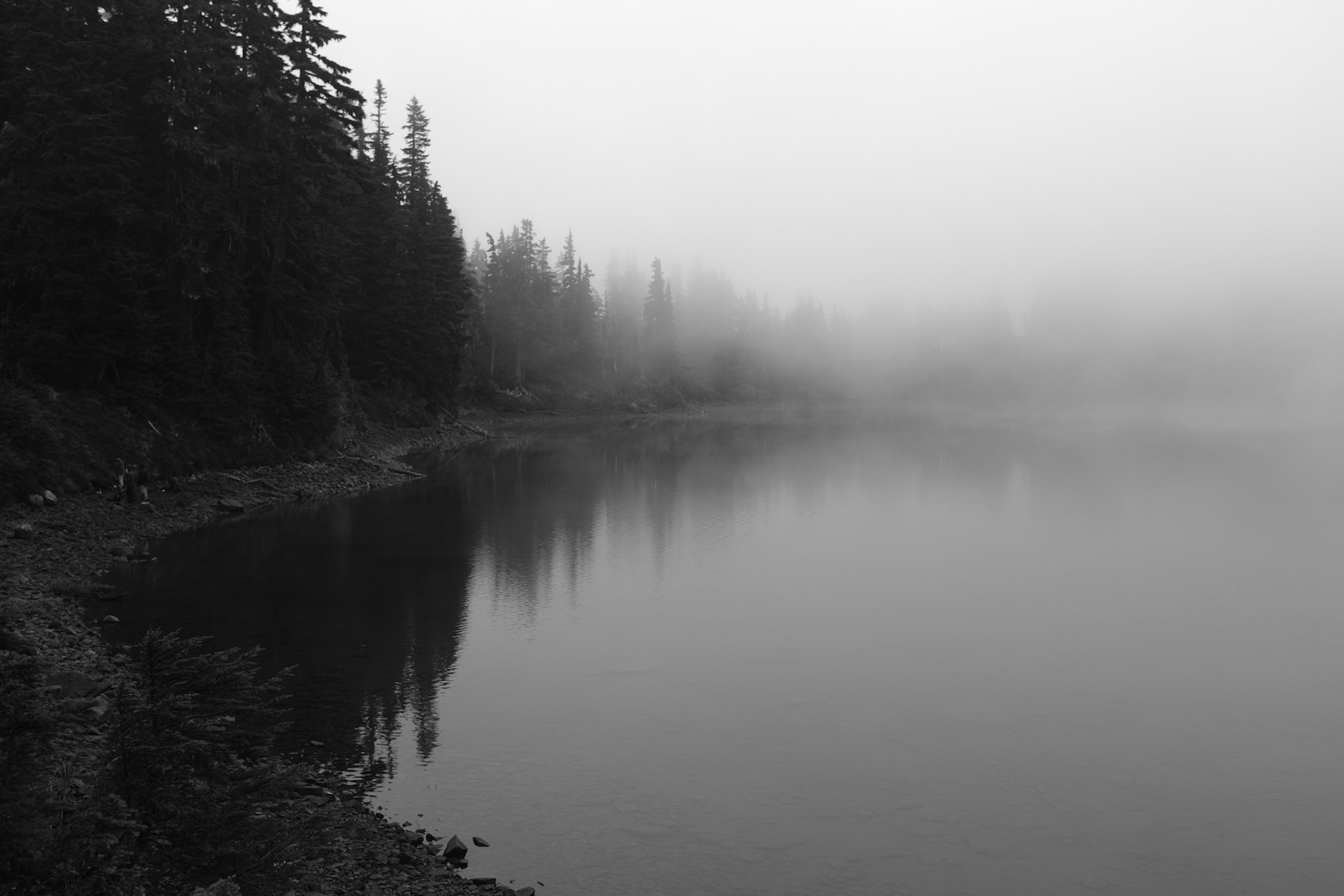 Black and white view of a lake with a partial reflection before the tree line fades into fog.