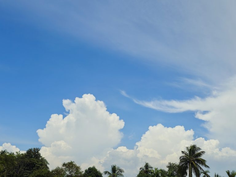 Large white clouds rise above a tropical landscape filled with coconut palms and greenery. The vivid blue sky and towering clouds create a spacious and peaceful natural scene. Taken from Perumanna, Kozhikode.