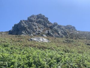 Gray granite rock summit in sunlight above a steep hillside covered with green ferns along the Camiño dos Faros near Faro Roncudo, Corme.