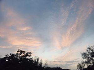 A beautiful evening sky over the green landscape of Kariyathumpara, Kozhikode, Kerala. Soft pink and orange clouds spread across the blue sky, with dark trees forming a natural silhouette below.
