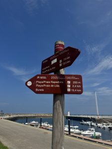 Wooden signpost with brown direction signs to local beaches, overlooking a marina with boats and a white lighthouse under a clear blue sky.