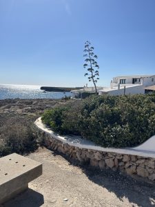 Mediterranean coast with a stone wall, coastal vegetation, and white houses under a clear sky.
