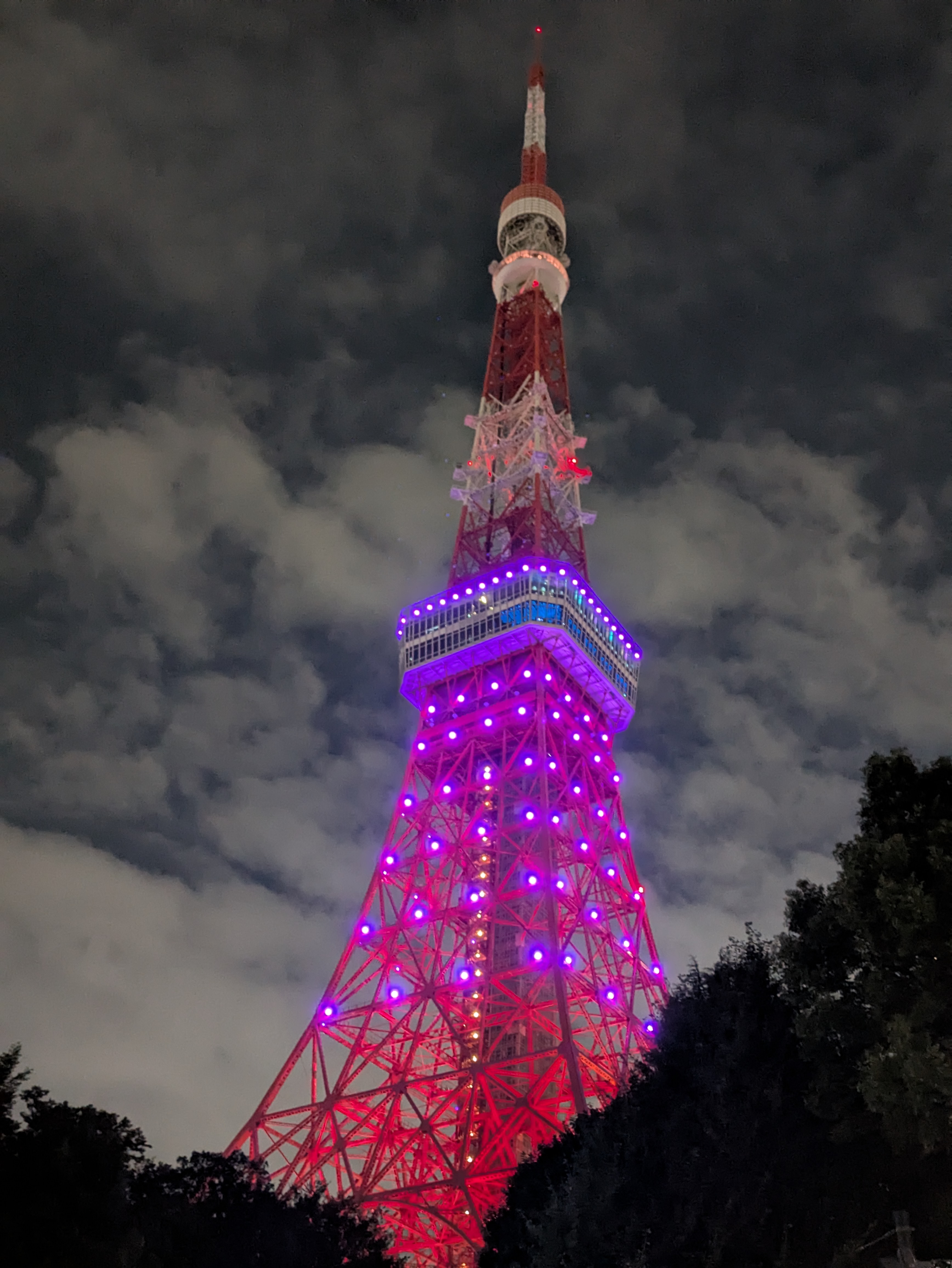 Tokyo Tower at night, lit in red with purple lights around its main deck, rising against a cloudy sky above dark trees.