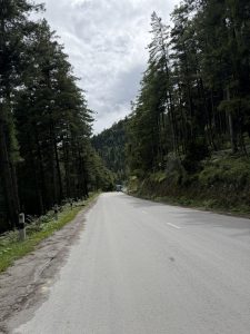 A paved, two-lane road stretching through a dense pine forest, with a vehicle visible in the distance under a cloudy sky.