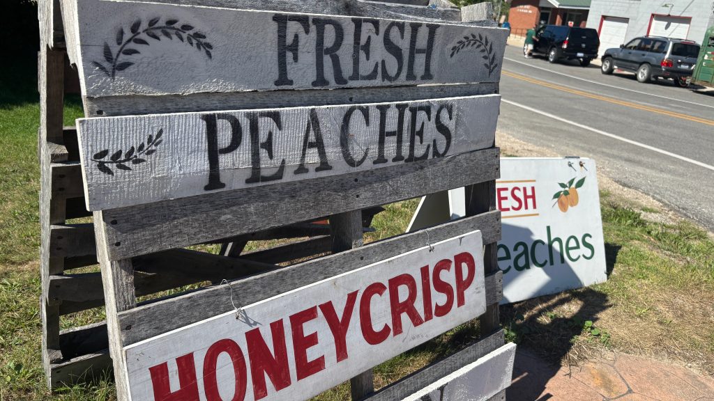 A rough wooden sign advertising Fresh Peaches, and Honeycrisp apples.