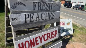 A rough wooden sign advertising Fresh Peaches, and Honeycrisp apples.